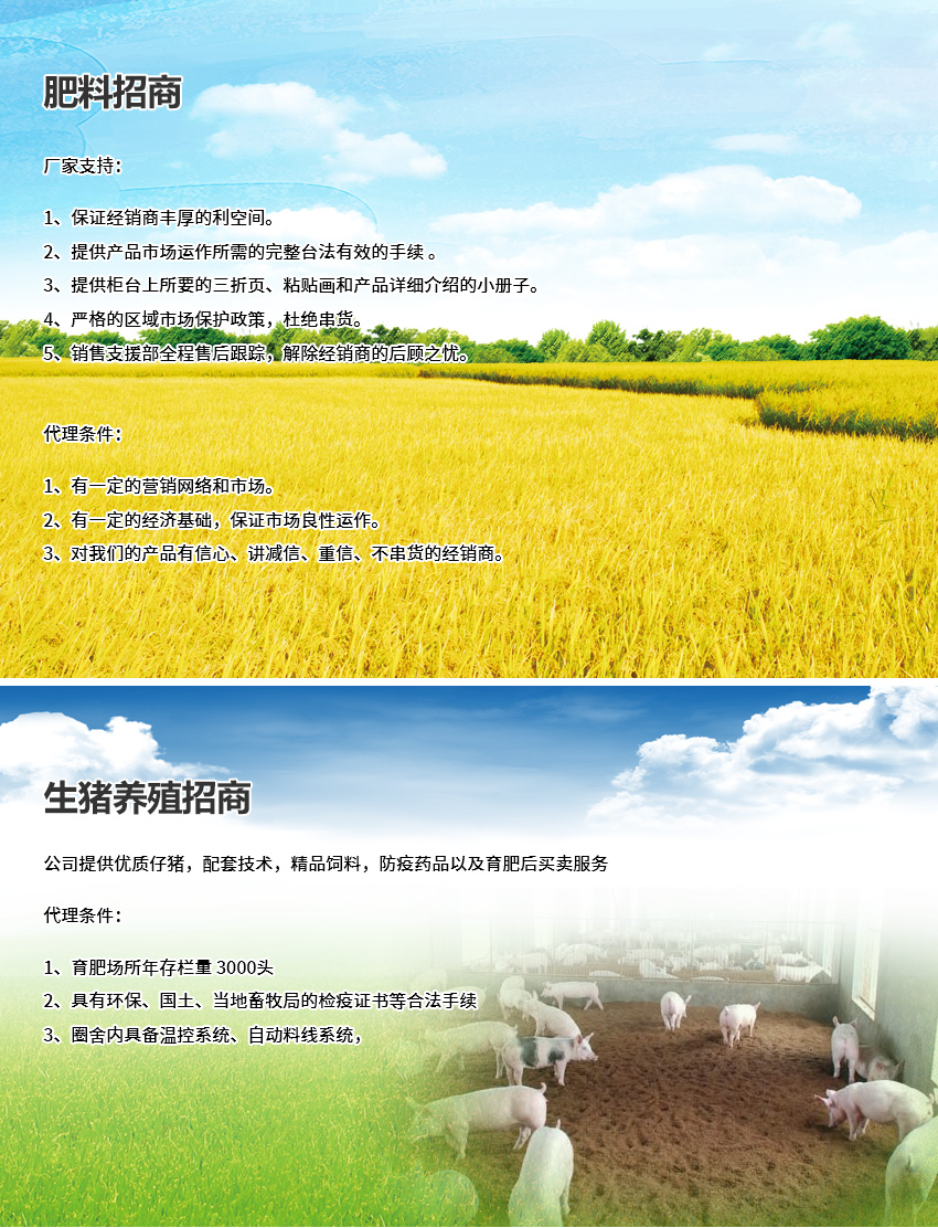 招商政策